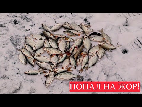 Видео: ПЕРВЫЙ ЛЁД! ЗИМНЯЯ РЫБАЛКА НА МОРМЫШКУ. ПОЙМАЛ МНОГО РАЗНОЙ РЫБЫ.