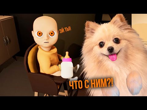 Видео: МИЛЫЙ РЕБЕНОК?  Я СТАЛА НЯНЬКОЙ МАЛЫША ИЗ АДА