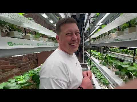 Видео: Он открыл Сити Ферму кафе в Питере!