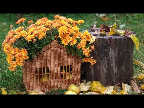 Видео: Осенние носочки 🧦🧶 и прочее творчество 🏠🏡