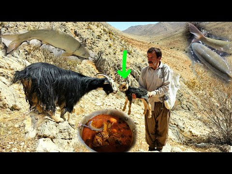 Видео: Кочевая жизнь в самом сердце гор | Приготовление традиционного рыбного рагу + поиск новорожденного к
