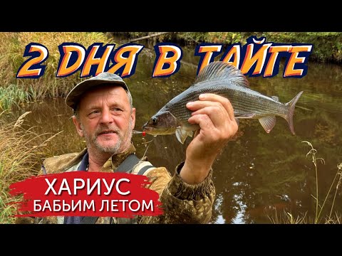 Видео: ЗА ХАРИУСОМ ПО МЕДВЕЖЬИМ СЛЕДАМ! 2 дня рыбалки на таежных реках