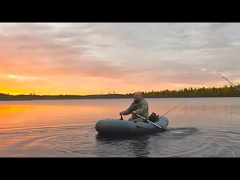 Видео: Рыбалка в Карелии. Что добыл, то и съел. Две ночи в тайге. Отличная рыбалка на маленьком озере.