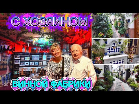 Видео: ИСПАНИЯ ВЛОГ. ОТЛИЧНО НАДЕГУСТИРОВАЛИСЬ НАТУРАЛЬНОГО ВИНА ЧАСТЬ 2
