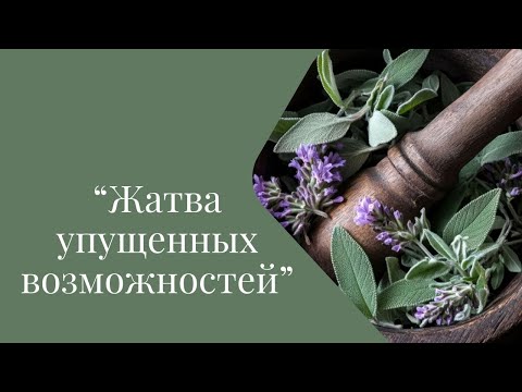 Видео: "Жатва упущенных возможностей"