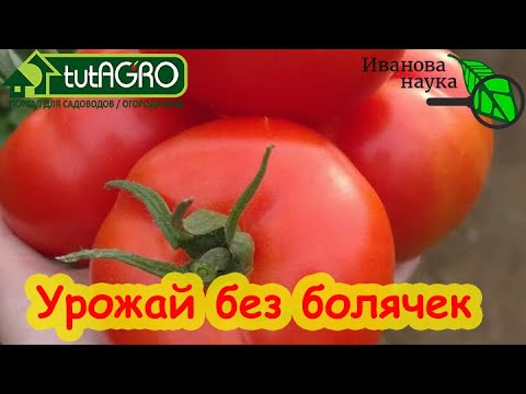 Видео: МНОГО ЛЕТ ИСПОЛЬЗУЮ ЭТО СРЕДСТВО и всегда с урожаем. Волшебная палочка Антилус из созвездия BioDSO.