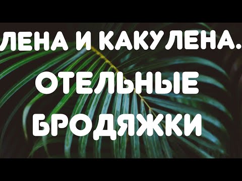 Видео: Лена и Какулена// Отельные бродяжки// Обзор видео//