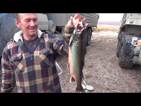 Видео: На Чукотку по земле, часть 5. Певек. Работа и путь домой.
