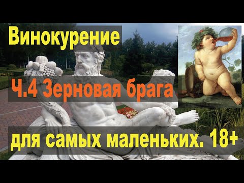 Видео: Винокурение для самых маленьких. Ч.4.Зерновая брага