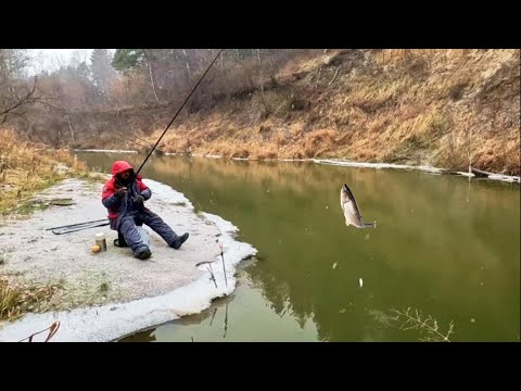 Видео: ПОПЛАВОК ПЕРЕД ЛЕДОСТАВОМ. ( СУЗУН ) 30 октября 2023г. Бешеный клев плотвы.
