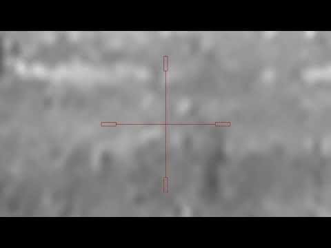 Видео: Три шакала добыты, манок Lucky Duck. Винтовка CZ 527, 223 rem, ДТК «Шептун», прицел Юкон нордфорс.