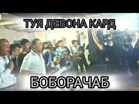 Видео: БОБОРАЧАБ.2025.Ш.КУЛОБ.ТУЯ ДЕВОНА КАРД.BOBORAJAB.2025.