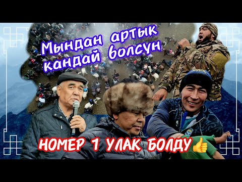 Видео: Элбурс уулу Алинурга арналган бата улак.