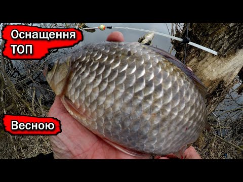 Видео: Риболовля на бічний кивок і весняна мормишка