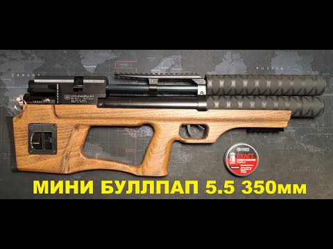 Видео: Минибуллпап 5.5 350мм в ураганный ветер