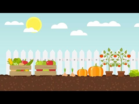 Видео: Корисна артикуляційна гімнастика (для шиплячих звуків)