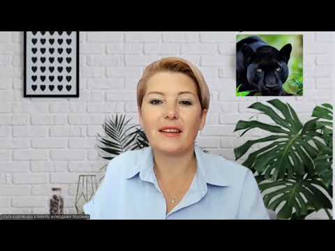 Видео: Правда об успешном бизнесе — он занимает всё твоё время