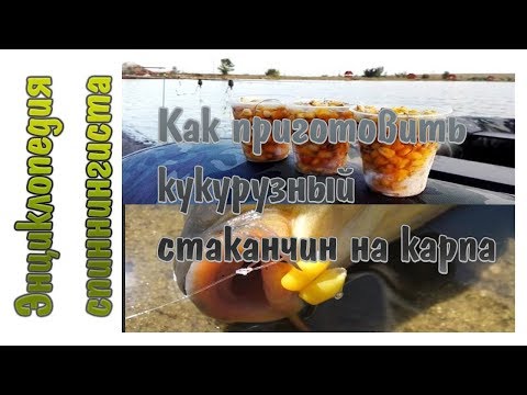 Видео: Готовим кукурузный стаканчин на карпа