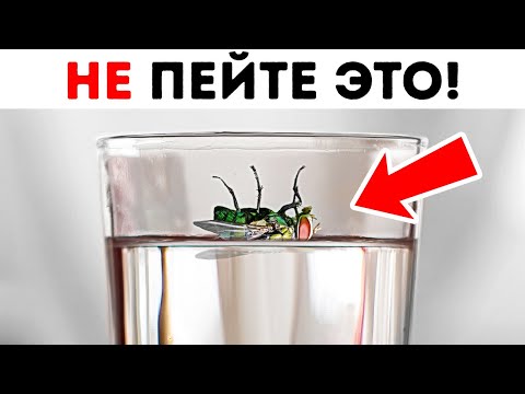 Видео: 50 советов для ситуаций, в которых нужно действовать быстро
