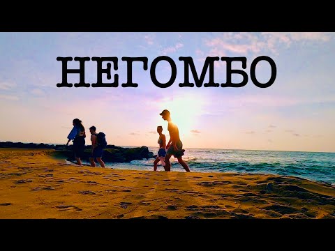 Видео: Шри-Ланка Сегодня. Это Негомбо. Цены на рыбном рынке (креветки, крабы, устрицы, кальмары)
