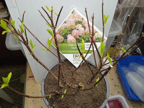 Видео: НУ ГДЕ Ж ВЫГОДА ТО ?? НУ ГДЕЕЕЕЕЕ????? ЕСТЬ ЛИ ОНА??