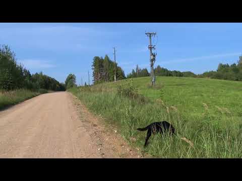 Видео: Из города в деревню / Жизнь в деревне / Рассказ жены