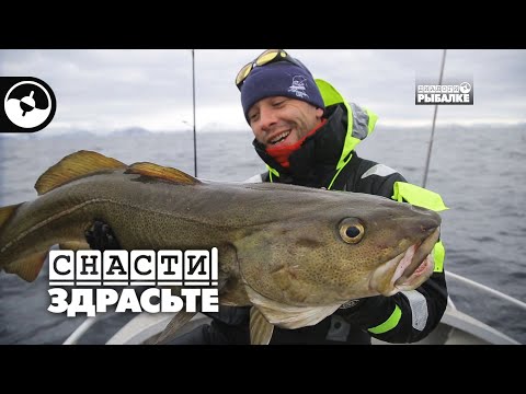 Видео: Как поймать крупную треску | Снасти, здрасьте!