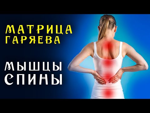Видео: Матрица Гаряева для Восстановления Мышц Спины ☀️ Квантовое Исцеление Спины Звуком