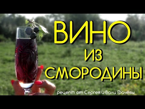 Видео: 🍷 ВИНО из ЧЁРНОЙ СМОРОДИНЫ - ВКУСНЫЙ РЕЦЕПТ ПРОВЕРЕННЫЙ ВРЕМЕНЕМ 🍷