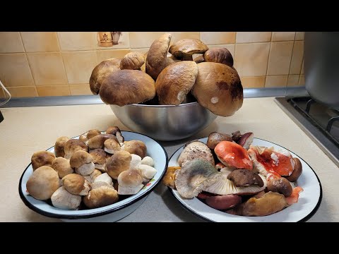Видео: Жареные белые грибы с луком. Грибной суп.
