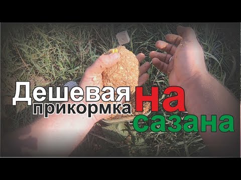 Видео: Дешевая  и рабочая прикормка на сазана на течении.100%  работает.