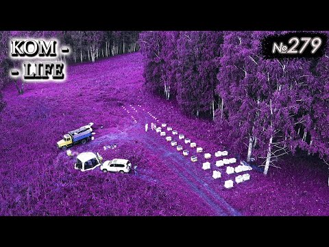 Видео: 🐝 В гостях на ПЧЕЛОФЕРМЕ