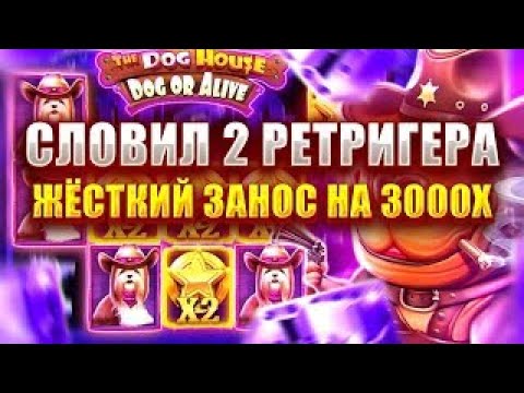 Видео: ДВА РЕТРИГЕРА И ДВА ЛЮТЫХ ЗАНОСА В ДОГ ХАУСЕ !? / Бонус В Слоте Dog Or Alive / заносы недели