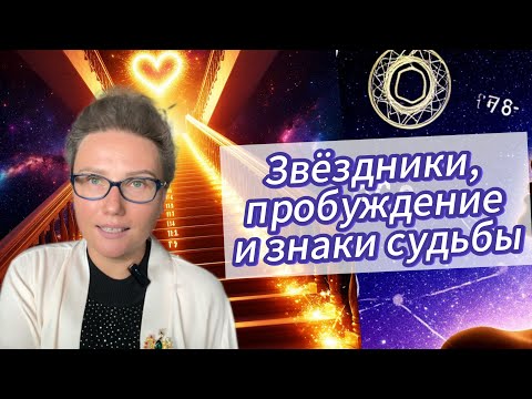 Видео: 🔥ОТВЕТЫ НА ВАШИ ВОПРОСЫ #2: Миссия Души, магия чисел, резус-фактор