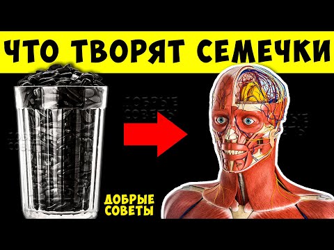 Видео: Вот что Обычные Семечки сделают с Вами если Есть их Каждый день