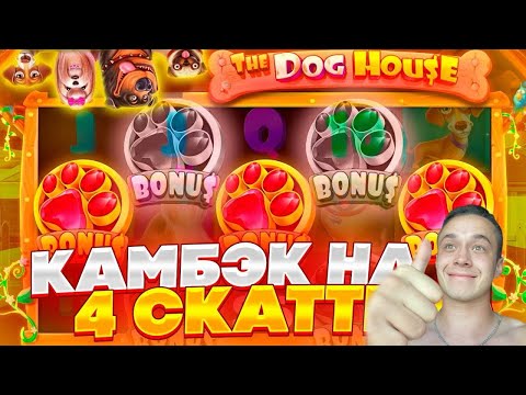 Видео: ЛЮТЫЙ КАМБЕК!! БОНУСКА НА 19 СПИНОВ ПО 5000Р В THE DOG HOUSE!! ЗАНОСЫ НЕДЕЛИ