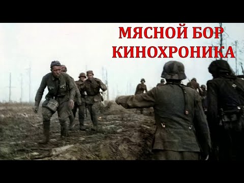 Видео: УНИКАЛЬНАЯ КИНОХРОНИКА СНЯТАЯ НЕМЕЦКИМИ ОПЕРАТОРАМИ В МЯСНОМ БОРУ