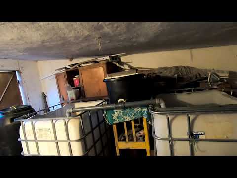 Видео: КТО ТОЛЬКО НАЧИНАЕТ УЗВ