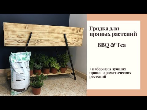 Видео: Грядка для пряных растений  BBQ & Tea
