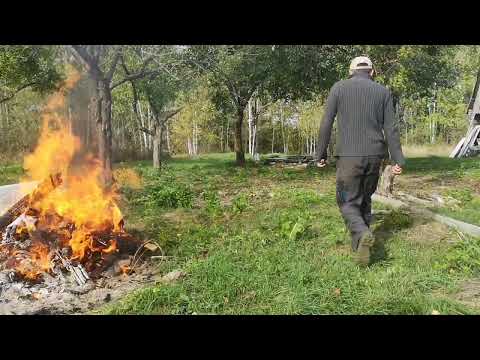 Видео: Хутор на краю леса. Купил хутор в Беларуси. Часть 4