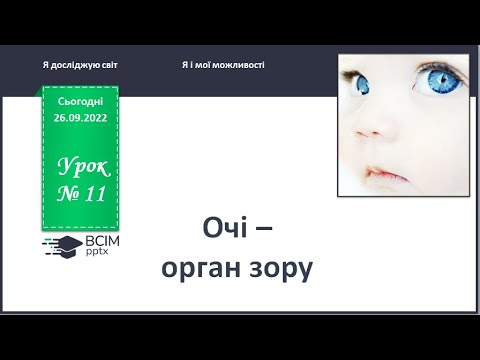 Видео: ЯДС 1 клас. Урок 11. Очі - орган зору.