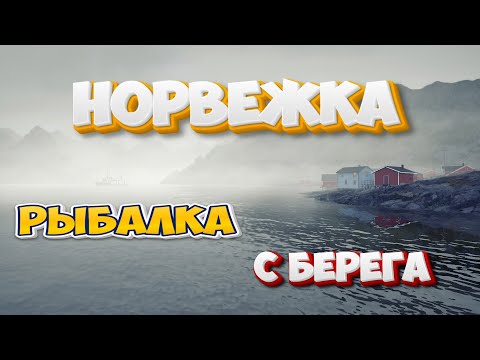 Видео: Русская Рыбалка 4 ► ЛОВЛЯ С БЕРЕГА НА МОРЕ ► 40% МЛО ► ПРОВЕРЯЮ ПРИВЛЕКАЮЩИЕ ЭЛЕМЕНТЫ