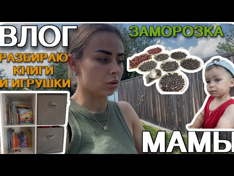 Видео: Влог мамы. Прививка. Рынок. Горшок.[26]🍓