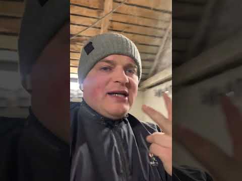 Видео: Рецепти відгодівлі свиней 🐷від 10кг до 130кг!!!4 місяці і ГОТОвО 🔥🔥🔥🇺🇦🇺🇦