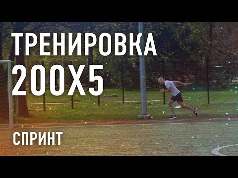 Видео: Беговая тренировка 200х5 чисто на обкатку / Летний сезон 2023