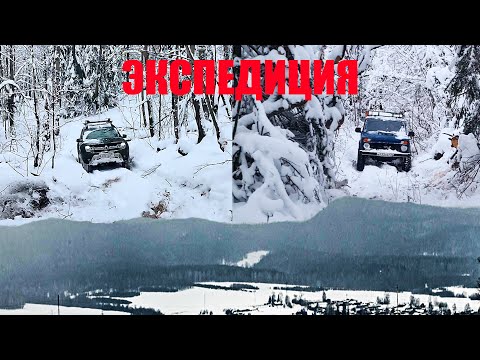 Видео: ЗИМНЯЯ ЭКСПЕДИЦИЯ НА ОСИНОВУЮ ШИШКУ