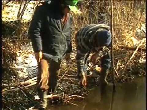 Видео: 3. Добыча бобра 1 — Открытая вода (Eng)