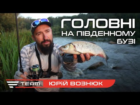 Видео: Великий улов: Південний Буг випробовує сили. Ловля диких головнів на Favorite Rapid