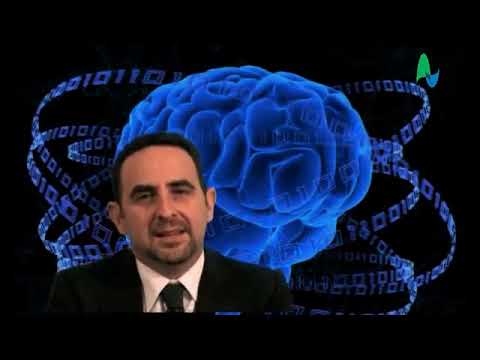 Видео: Влияние на людей, модель SCARF Rus