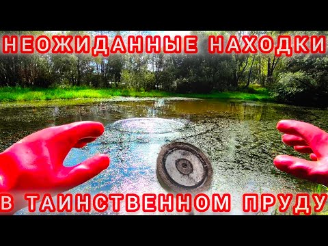 Видео: НЕОЖИДАННЫЕ НАХОДКИ В ТАИНСТВЕННОМ ПРУДУ! #находки #клад #поисковыймагнит #metaldetecting #fishing